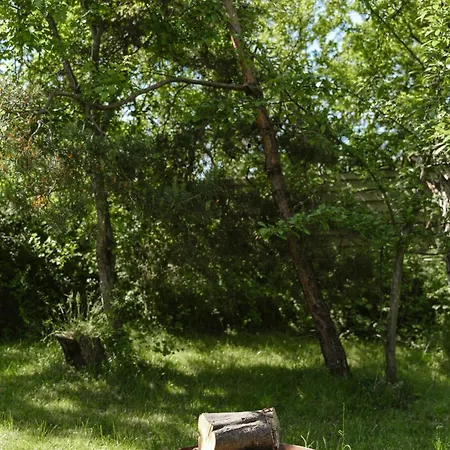 60s Style Near Tisvildeleje Vejby